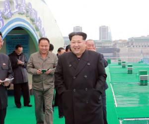 Por segundo año consecutivo piden al Consejo de Seguridad considerar la posibilidad de llevar a Pyongyang ante la Corte Penal Internacional por crímenes contra la humanidad.