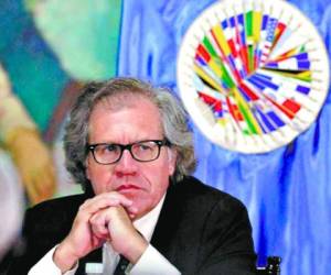 Luis Almagro, secretario general de la OEA, contestó favorablemente la solicitud del Partido Nacional.