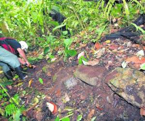 Unas 53 piezas ancestrales encontradas en la zona donde está Ciudad Blanca serán sustraídas para iniciar una investigación.