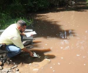 Peces de todos los tamaños flotan inertes sobre el agua del río Choco debido a la elevada contaminación de sus aguas.