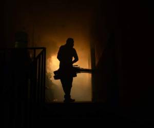 La disposición también contempla la fumigación en las terminales marítimas, aéreas y puestos fronterizos y una campaña informativa sobre la prevención de enfermedades como el zika.