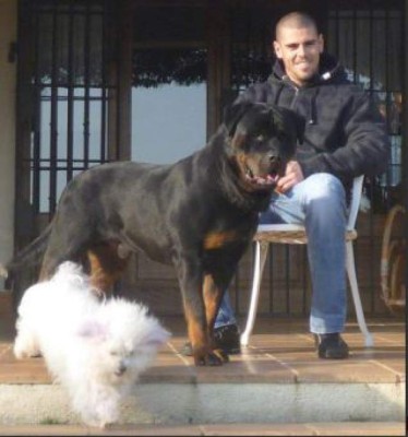 Estas son las peculiares mascotas de los futbolistas más famosos del mundo