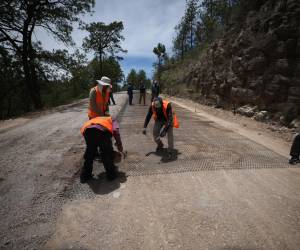 De cada 100 personas que trabajan en el sector privado, 44 no recibieron el salario mínimo en 2025.