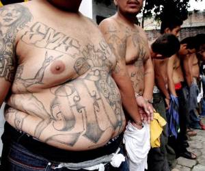 La Ley Contra Actos de Terrorismo es un instrumento legal contra las pandillas.