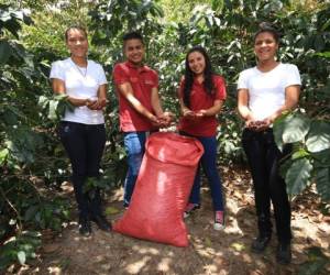Los jóvenes y sus familias se dedican a la cosecha de café, esta es su única fuente de ingresos. La organización les apoya para que el producto pueda ser comprado en Estados Unidos. Foto: Marvin Salgado / El Heraldo.