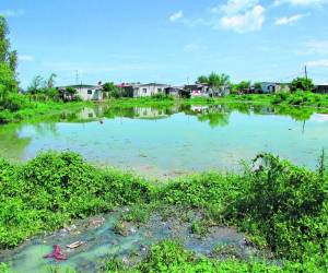 La construcción de una laguna de oxidación sedimentaria y cosechadora de agua en las riberas del río Grande es el proyecto más ambicioso en el que trabajan los expertos de Aguas de Choluteca.