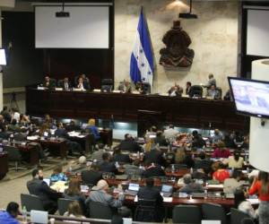 Los miembros de la depuradora enfatizaron a los diputados que con esta ley se profesionalizará a los efectivos policiales.