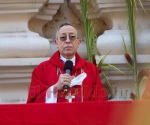 El cardenal Óscar Andrés Rodríguez durante la homilía del Domingo de Ramos.