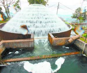 Entre cinco y seis días reciben agua los pobladores de las más de 70 colonias abastecidas por la fuente potabilizadora de El Picacho. Foto: EL HERALDO.