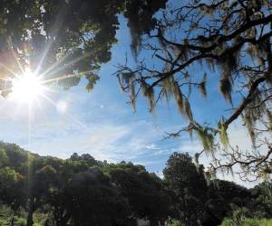 Parque Nacional La Botija.