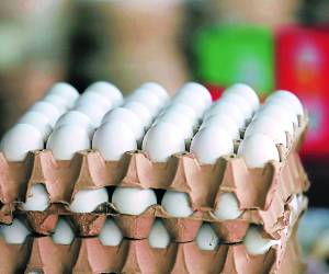 Los capitalinos por fin pueden conseguir huevos a bajos costos. Hace un mes se recibió la primera rebaja al precio del blanquillo en los mercados y ferias del agricultor. El huevo grande está a L105.
