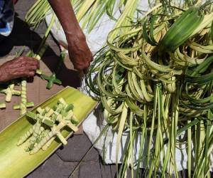 La Semana Santa para los católicos inicia con el símbolo de los Ramos. Foto: Marvin Salgado