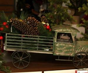 Esta semilla la puede incorporar en recipientes de metal, vidrio o bien en un carrito. Foto: David Romero / EL HERALDO