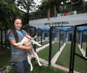 Los encargados del hotel canino dedican varias horas del día a jugar con las mascotas, alimentarlos y limpiar las instalaciones.