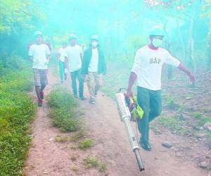 El personal de Salud realiza fumigaciones en barrios y colonias.