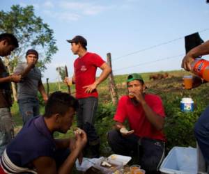 Los migrantes pasan hasta meses sin poder encontrar trabajo (Foto: AP/ El Heraldo Honduras/ Noticias de Honduras)