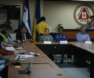 La mesa interinstitucional contra el dengue y chikungunya quedó instalada desde ayer y reúne al menos diez instituciones de la capital, como la Alcaldía, Fuerzas Armadas, Copeco, Iglesias y bomberos.