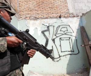 Las autoridades también resaltaron que en este año se ha logrado la captura de 11 miembros de pandillas extranjeras.