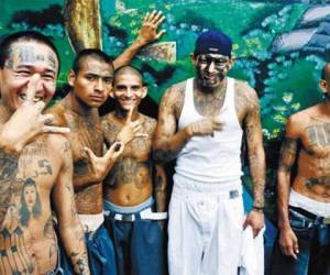 Miembros de la Pandilla MS-13 que operan en El Salvador y en toda Centroamérica.