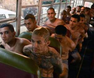 La Sala de lo Constitucional de la Corte Suprema de Justicia (CSJ) de El Salvador declaró a las pandillas y sus colaboradores como grupos terroristas