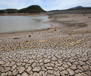 Así luce la represa La Concepción, pues solo posee el 20% de su capacidad. Foto: Johny Magallanes / EL HERALDO.