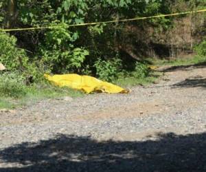 Los cuerpos fueron hallados en el kilómetro 67 de la carretera del sur, tras el reporte de la persona que resultó herida.