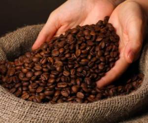 Los envíos de café representaron el 29% del total de las exportaciones de productos hondureños hacia otros países.