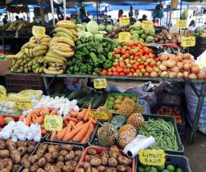 El precio de la libra de papa aumentó cinco lempiras en una semana al pasar de L23 a L28 en las ferias del agricultor de la capital hondureña.