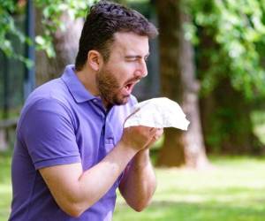 La vacuna contra la influenza previene todos los tipos.