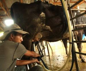 Con el acuerdo de compra entre productores e industria se espera que la crisis en el sector lechero no se repita.