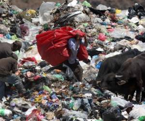 La mayor cantidad de desechos son residuos orgánicos. Foto: Alex Pérez/EL HERALDO.