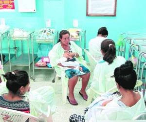 El hospital Regional del Sur tendrá una unidad especial para asistir de manera integral a los bebés que nazcan con microcefalia a consecuencia del zika.