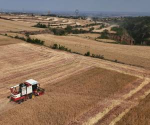 La sequía asoló la provincia china de Shaanxi. La capacidad del País para producir trigo se agota. (Florence Lo/Reuters)