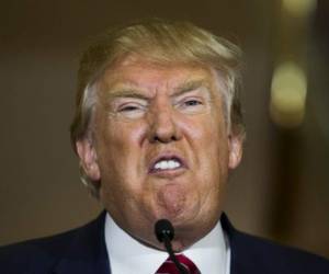 Critica a Donald Trump: 'Un presidente que critica a jueces y unos bandidos que asesinan a jueces son todos enemigos del Estado de derecho',...