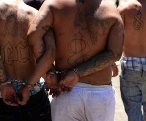 Otros 26 pandilleros que se encuentran en prisión serán procesados por el caso (Foto: AFP/ El Heraldo Honduras/ Noticias de Honduras)