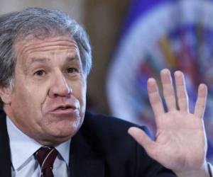 Luis Almagro, secretario de la OEA, pidió enviar a Honduras un delegado para constatar la situación electoral tras los comicios realizados el 26 de noviembre.