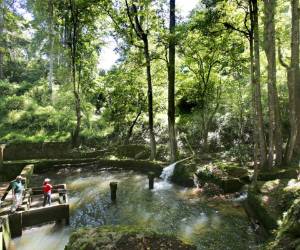 La principal riqueza de La Tigra es su fuente natural que tiene la capacidad de generar 29.9 millones de metros cúbicos de agua por año que abastecen cuatro municipios de Francisco Morazán.