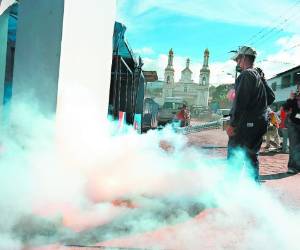 La fumigación mata al zancudo pero no actúa sobre las larvas de pilas, barriles u otros recipientes.