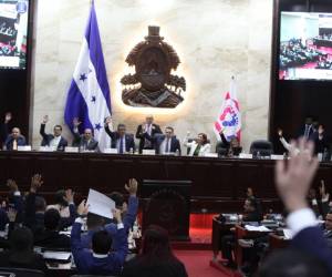 Diputados liberales dieron su voto de confianza a la declaratoria de emergencia en salud, pero advirtieron que no debe de ser un cheque en blanco.