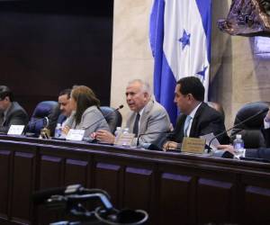 Hasta la próxima semana se sometería a discusión el contenido del polémico artículo 196 sobre la despenalización del aborto.