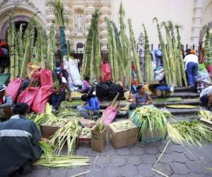 Al menos 200 productores de ramos de olivo se instalaron ayer en los alrededores de la Catedral metropolitana.