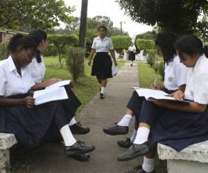 El área de internado entrará en funcionamiento cuando se inicien las clases en el sistema educativo nacional.