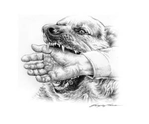 Pasó el tiempo, y el doctor Estrada esperó a que le llegara la demanda de los abogados de su antiguo amigo. Pero esperó en vano. Nunca llegó. Sin embargo, aprendió una lección valiosa: no debe hacerse el bien a quien no lo merece”.