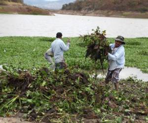 Los empleados de la comuna capitalina y del SANAA realizaron los trabajos de limpieza en la represa Los Laureles.