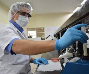 Los especialistas mientras procesan una muestra en el Centro de Investigaciones Genéticas.