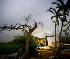 El huracán, que azotó Puerto Rico el 20 de septiembre, causó la muerte de docenas de personas y daños por unos 94, 000 millones de dólares.