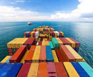 El TPP fue negociado y aprobado en febrero de 2015 por representantes de Estados Unidos, Japón, Australia, Nueva Zelanda, Malasia, Brunei, Singapur, Vietnam, Canadá, México, Perú y Chile.