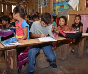 En el Distrito Central todavía hay niños que reciben clases en troncos. Foto: Aníbal Vásquez/EL HERALDO.
