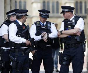 Agentes de seguridad realizando ultimando detalles para la boda real.