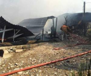 Elementos del Cuerpo de Bomberos llegaron a la zona para apagar las llamas.